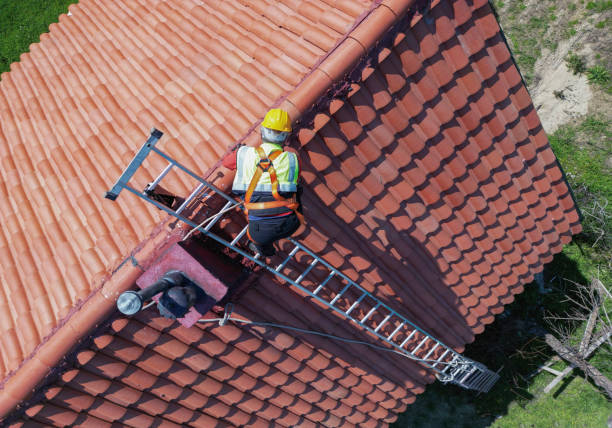 Best Roof Repair  in Pierce, NE